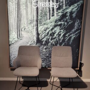 Stuhl-Set MINT Stressless