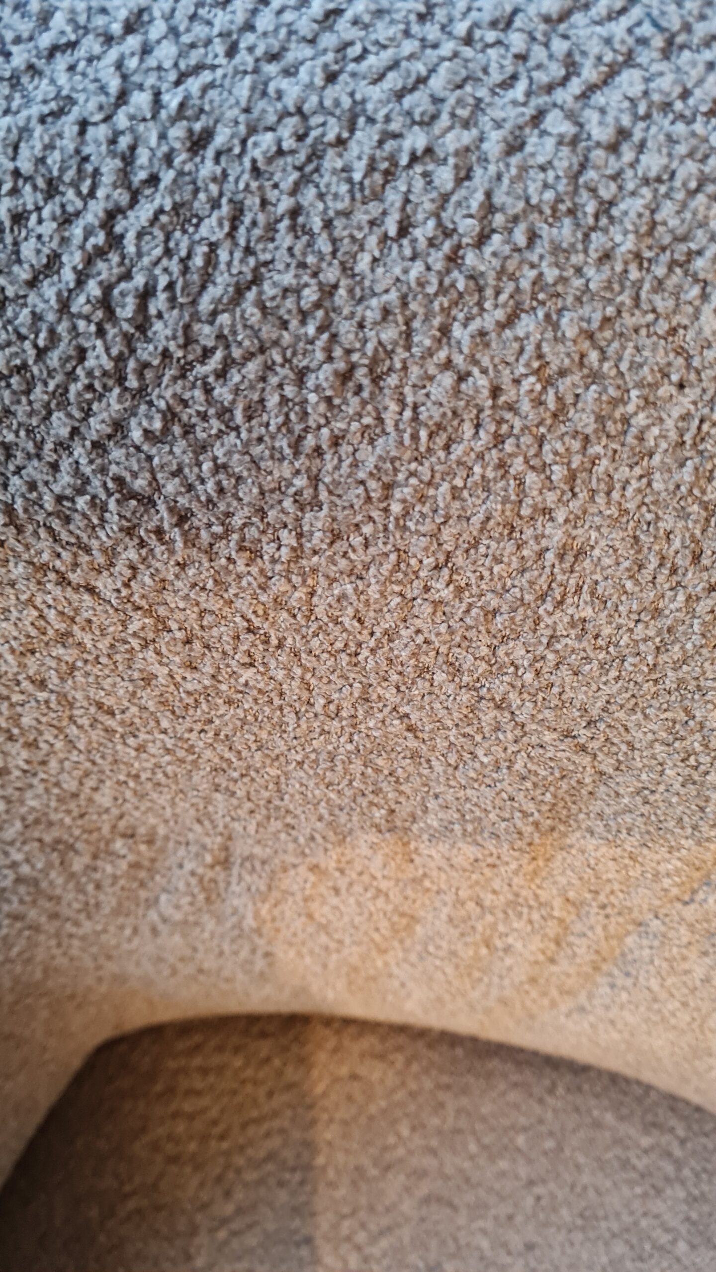 20240223_171345 – Kopie
